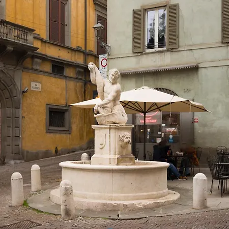 公寓 Art - Fontana Del Delfino *